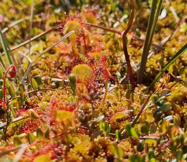 20250603_132411 20250603_132411