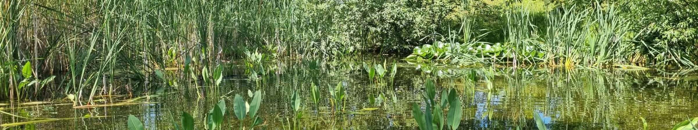 Metoder, Care4Nature bruger