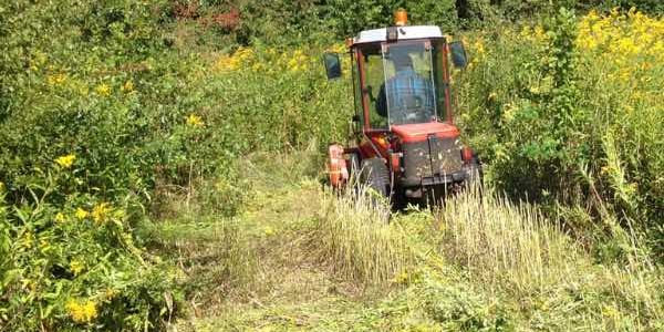 Bekaempelse-gyldenris-slaaning-med-traktor-7A Bekaempelse-gyldenris-slaaning-med-traktor-7A