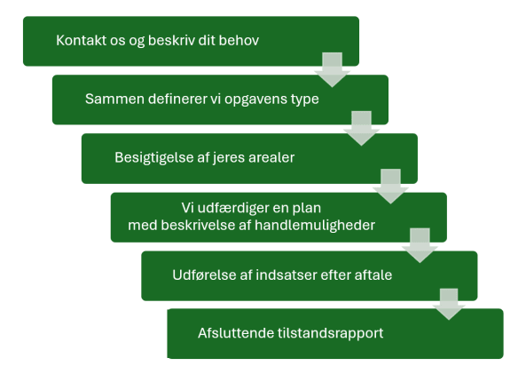 Forløb Trin i forløbet af en opgave udført af Care4Nature. Fra kontakt til udførelse.