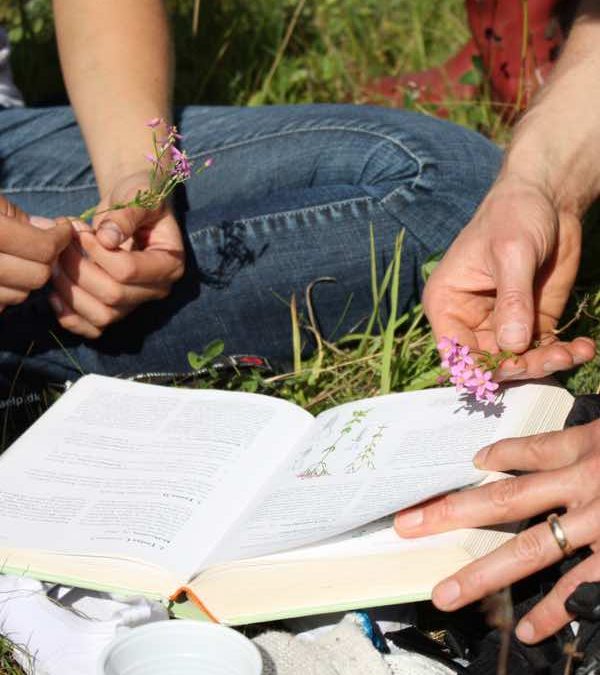 Kursus-i-planter-6 Kursus-i-planter-6
