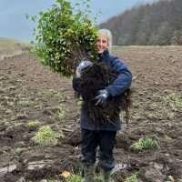 Pernille Vesterløkke, Care4Nature