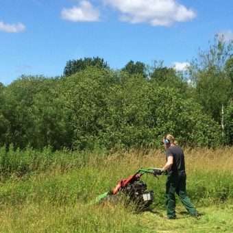 Slaaning-hoeslet-1 høslæt