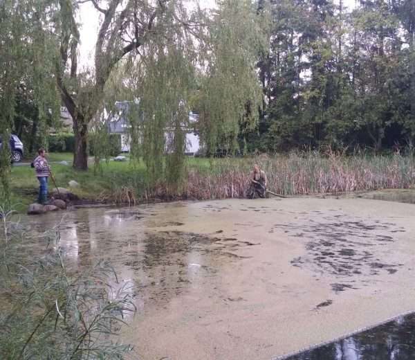 oprensning af sø, sø-pleje